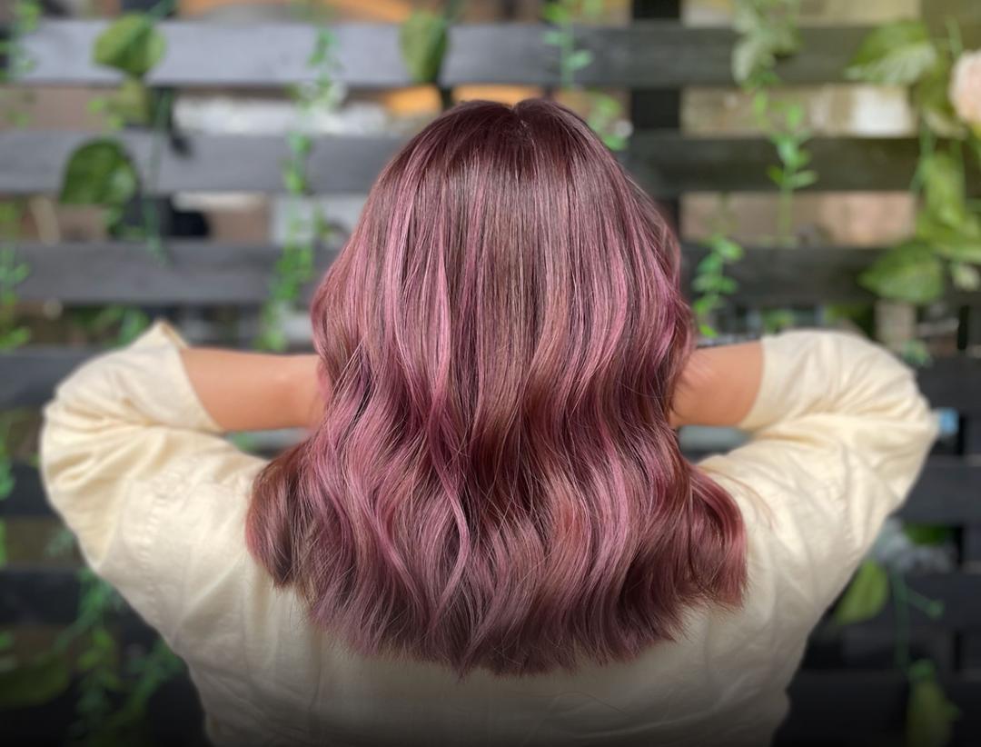 Portofolio Hair Color: Balayage, Highlight & Fashion Color